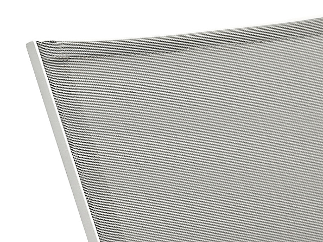 Detail7 Zebra Bee _1.jpg